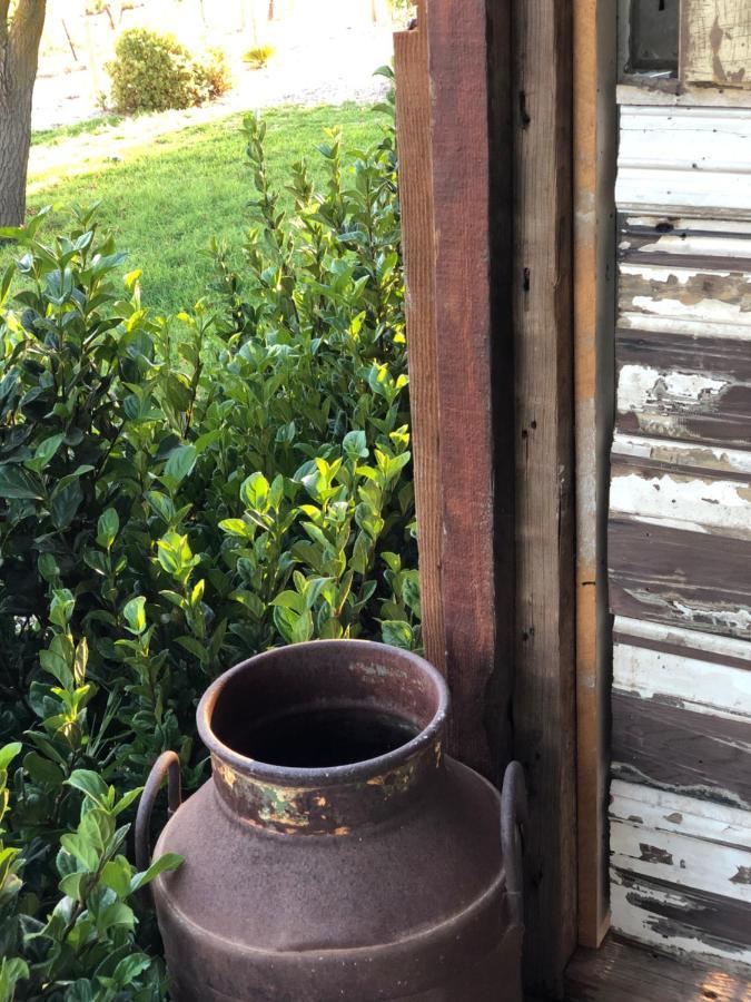No 3 @ Bed In A Shed B&Bs Watervale Exterior photo